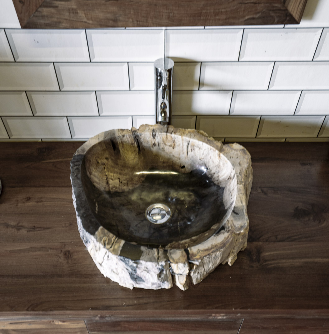 Petrified Wood Sink No. 102 - 47 x 41 x 15cm